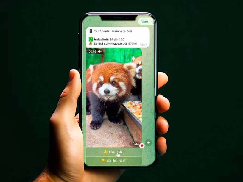 Sledovať videá